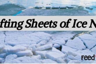 Drifting Sheets of Ice nyt