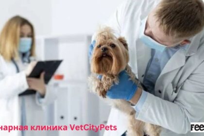 Ветеринарная клиника VetCityPets