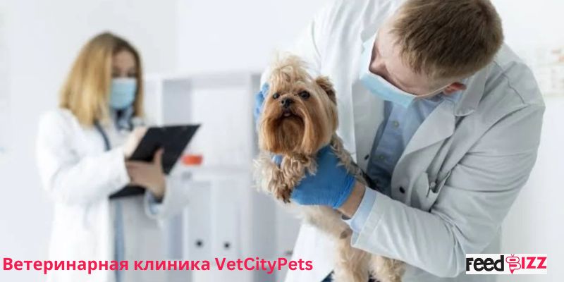 Ветеринарная клиника VetCityPets