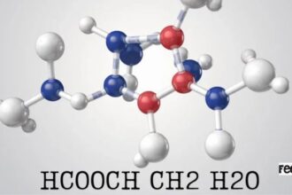 HCOOCH CH2 H2O