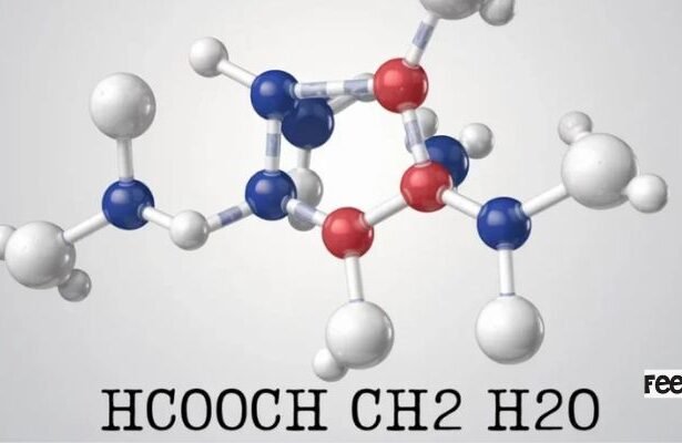 HCOOCH CH2 H2O