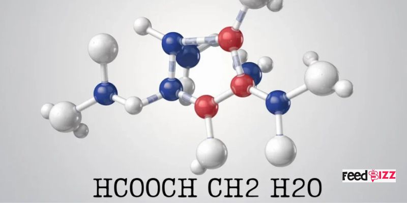 HCOOCH CH2 H2O