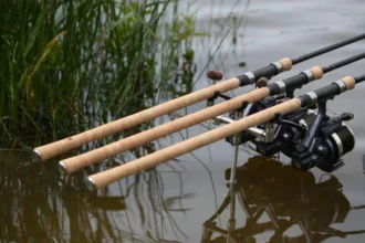 Carp Rod and Reel Combo