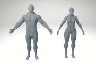 3D Models