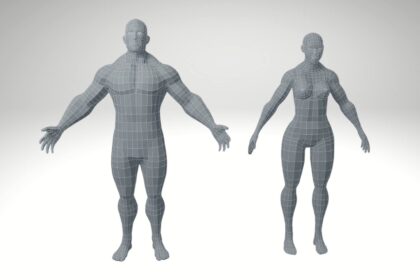 3D Models