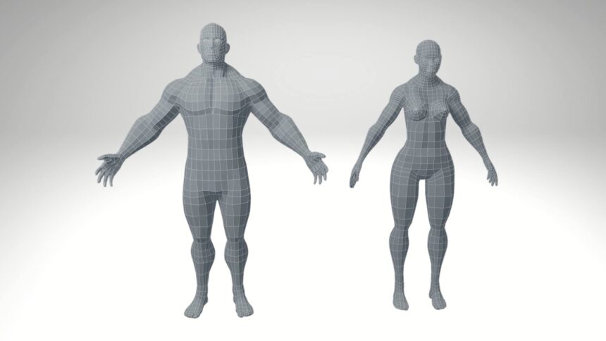 3D Models